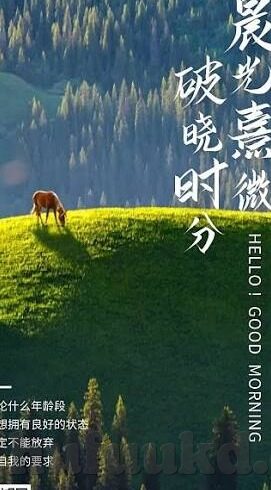 dxfff大象天美传媒-探索DXFFF大象天美传媒的多元魅力与影响